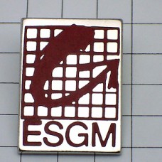 お買得ピンバッジ.ESGM