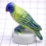 フェブ・ゴシキセイガイインコ鳥オウムの一種