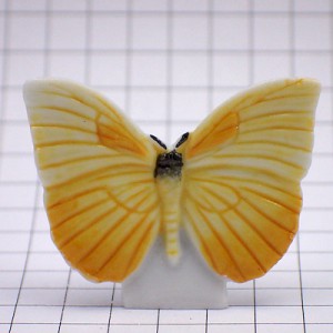 フェブ・メキシコ蝶々