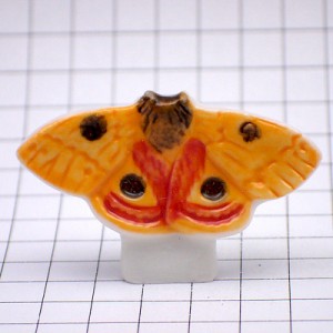 フェブ・ヤママユガ科の蝶々