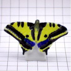 フェブ・アゲハチョウ蝶々