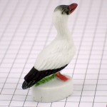 フェブ・アオツラカツオドリ鳥