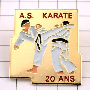 ピンバッジ・空手クラブ黒帯20周年 KARATE FRANCE