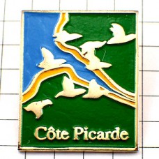 ピンバッジ・木の枝と鳥たちハンティング狩猟 COTE-PICARDE PICARDIE NORMANDIE FRANCE