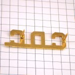 ピンバッジ・金色ＣＤＣゴールド文字