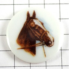 ピンバッジ・手綱の付いた茶色い馬