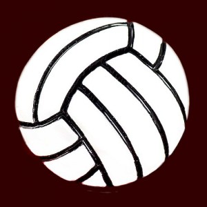 ピンバッジ・NEW!バレーボールの球 VOLLEYBALL-BALL