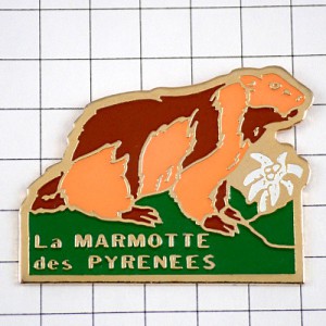 ピンバッジ・マーモット山登りピレネー山脈プレーリードッグ白いエーデルワイス花 MARMOT PYRENEES EDELWEISS FRANCE