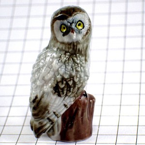 フェブ・フクロウ鳥ミミズク梟ふり返るまんまるの目