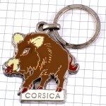 キーホルダー・コルシカ島のイノシシ猪 WILDPIG CORSICA FRANCE