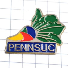 ピンバッジ・カブ砂糖大根ビート野菜 PENNSUC BETTERAVE