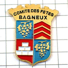 ピンバッジ・ワイン葡萄酒ブドウ房の紋章バニュー BAGNEUX FRANCE