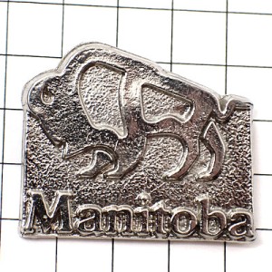 ピンバッジ・バッファロー野牛カナダのマニトバ銀色シルバー BISON MANITOBA CANADA