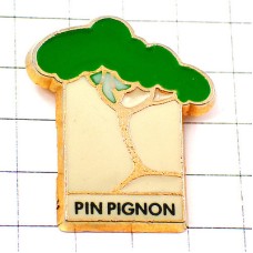 ピンバッジ・一本の松の木 PIN-PIGNON