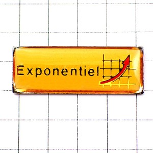 ピンバッジ・右上がりの矢印と方眼紙 EXPONENTIEL