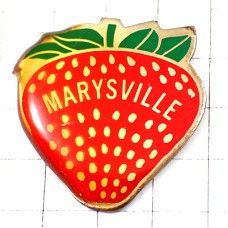 ピンバッジ・メアリーズビルの真っ赤なイチゴ苺オハイオ州アメリカ/USA MARYSVILLE STRAWBERRY