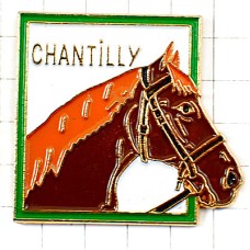 ピンバッジ・シャンティイ競馬場の茶色い馬 CHANTILLY PARIS FRANCE