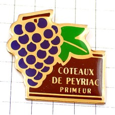 ピンバッジ・ワイン葡萄酒ブドウの房と葉っぱ COTEAUX-DE-PEYRIAC COTE-DU-ROUSSILLON FRANCE