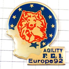 ピンバッジ・タイヤの輪をくぐる白い犬ヨーロッパ欧州旗EU欧州連合 AGILITY FRANCE MAP EUROPE FLAG