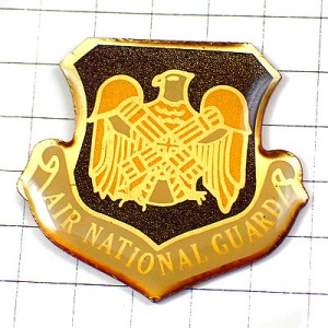 ピンバッジ・アメリカ空軍州兵ミリタリー米軍/USA予備部隊 AIR-NATIONAL-GUARD