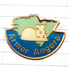 ピンバッジ・アンゴラ白ウサギと毛糸玉いろいろ兎 ANGORA RABBIT FRANCE