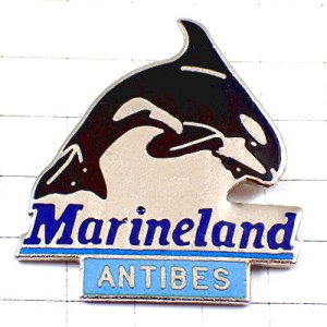 ピンバッジ・マリーンランド水族館イルカ黒いドルフィン MARINELAND ANTIBES FRANCE