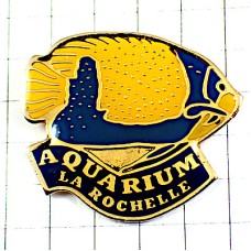 ピンバッジ・熱帯魚サカナさかな AQUARIUM LA-ROCHELLE FRANCE