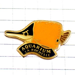 ピンバッジ・熱帯魚サカナさかなラロシェルの水族館 AQUARIUM LA-ROCHELLE FRANCE