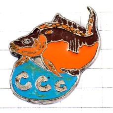 お買得ピンバッジ・茶色い魚とＣＣＣ水ピンズ