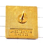 ピンバッジ・金色の線と緑色のコート