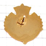 ピンバッジ・王冠ヴァンデ県ハートの紋章 VENDEE DIOCESE FRANCE