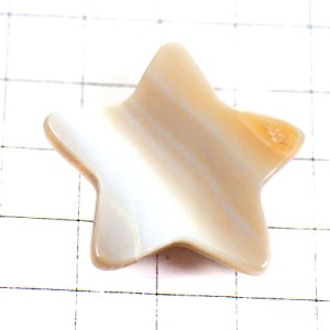 ピンバッジ・貝殻の星スター