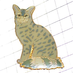 ブローチ・見上げる猫ジャコウネコ JAVANAIS-CAT