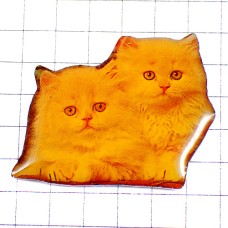 ピンバッジ・フサフサの猫２匹の写真
