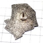 ピンバッジ・フリースタイル美容院