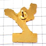 ピンバッジ・ホテルの給仕キャンドルお肉