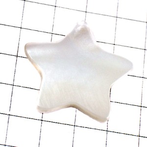 ピンバッジ・貝殻の星スター