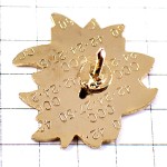 ピンバッジ・エーデルワイスの花アルプス山脈ムジェーヴスキー場 MEGEVE EDELWEISS SAVOIE FRANCE ピンバッジ・エーデルワイスの花アルプス山脈ムジェーヴスキー場 MEGEVE EDELWEISS SAVOIE FRANCE