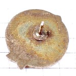 ピンバッジ・灰色の魚サカナ釣りフィッシング