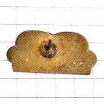 ピンバッジ・緑のソファ家具サロン HOME-SALONS CANAPE FRANCE