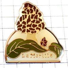 ピンバッジ・キノコきのこアミガサタケ茸 MUSHROOM MORILLE FRANCE
