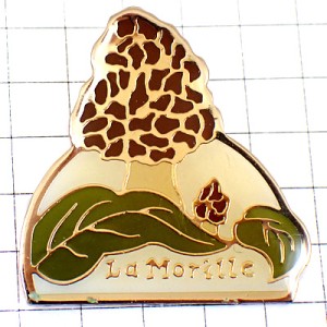 ピンバッジ・キノコきのこアミガサタケ茸 MUSHROOM MORILLE FRANCE