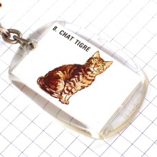 キーホルダー・シマシマ虎トラ猫ロンロン犬や猫の餌ネコ CANIGOU RONRON CHAT-TIGRE CAT FRANCE キーホルダー・シマシマ虎トラ猫ロンロン犬や猫の餌ネコ CANIGOU RONRON CHAT-TIGRE CAT FRANCE