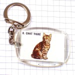 キーホルダー・シマシマ虎トラ猫ロンロン犬や猫の餌ネコ