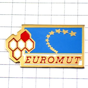 ピンバッジ・EU欧州連合ヨーロッパ欧州旗スター星ミツバチの巣