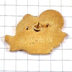 ピンバッジ・ルーマニアの国の形と太陽 AUBE-A-TURDA ROMANIA MAP