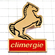 ピンバッジ・いななく馬ゴールド金色ウマ CLIMERGIE CLIMAT ENERGIE FRANCE ピンバッジ・いななく馬ゴールド金色ウマ CLIMERGIE CLIMAT ENERGIE FRANCE