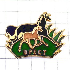 ピンバッジ・草原ウマ馬の親子 UPECT HORSE FRANCE ピンバッジ・草原ウマ馬の親子 UPECT HORSE FRANCE
