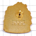 ピンバッジ・緑色の魚さかな環境保護