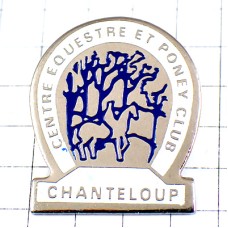 ピンバッジ・乗馬ポニー子馬クラブ白い蹄鉄 CHANTELOUP FER-A-CHEVAL FRANCE ピンバッジ・乗馬ポニー子馬クラブ白い蹄鉄 CHANTELOUP FER-A-CHEVAL FRANCE